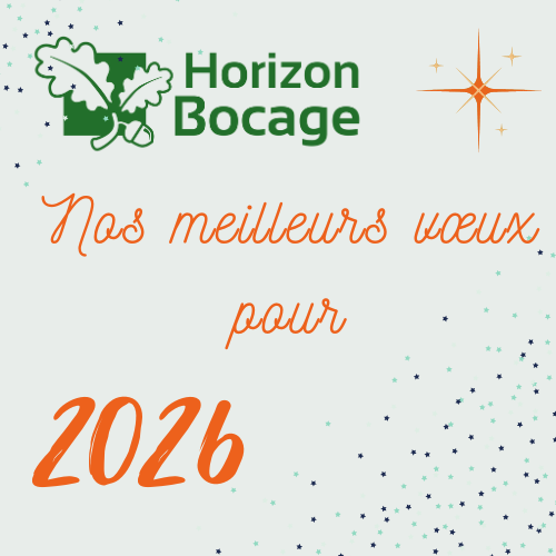 Voeux 2026